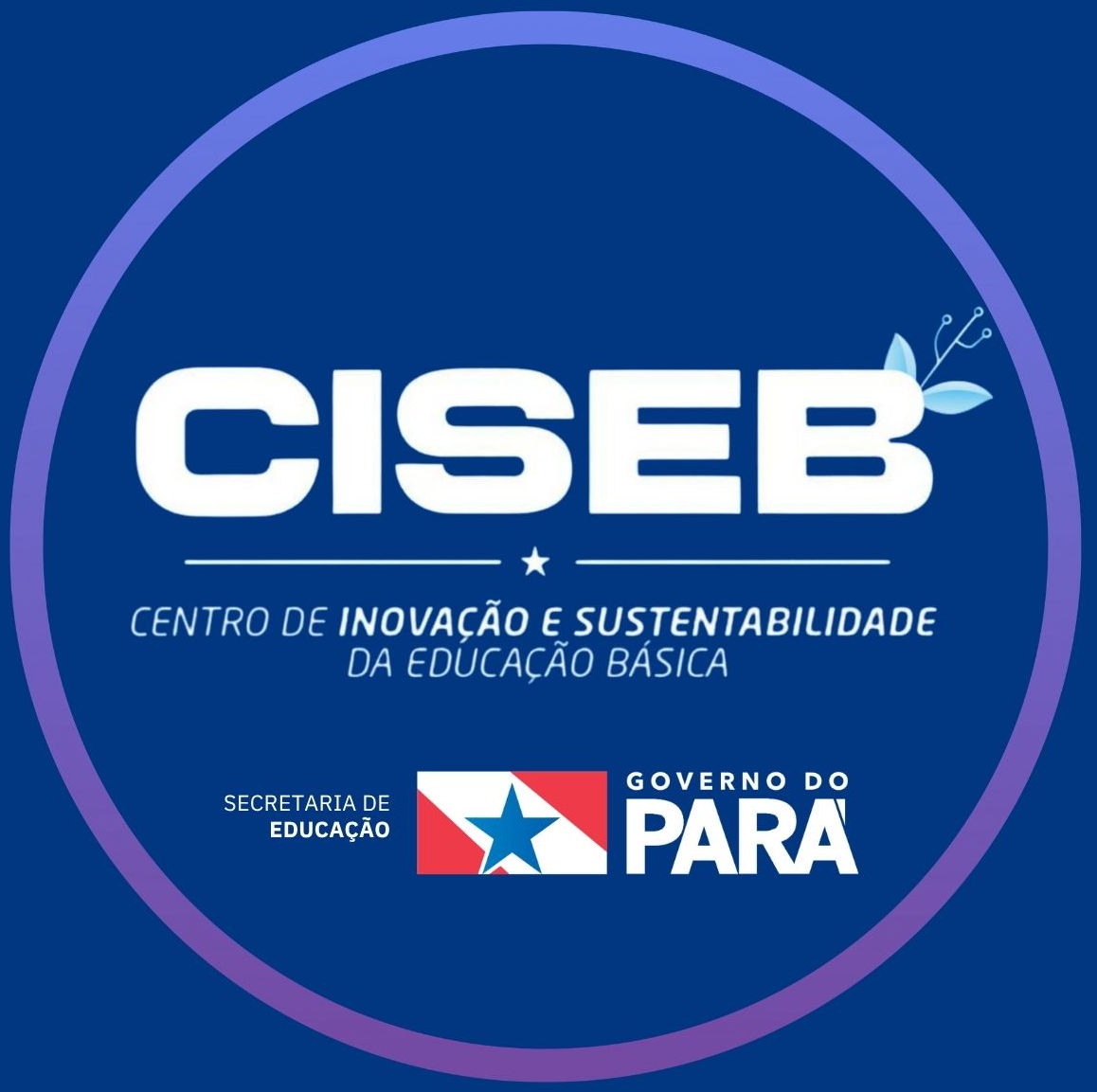 Logo CISEB